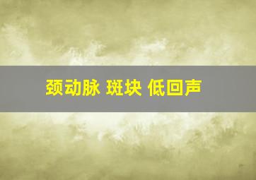 颈动脉 斑块 低回声